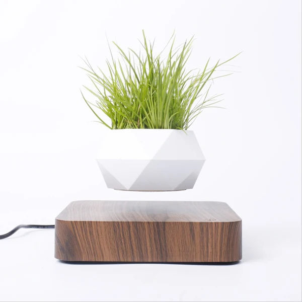 Elevate Your Space with the Magnetic Suspension Flower Pot - Perfect for Air Bonsai and Succulents!