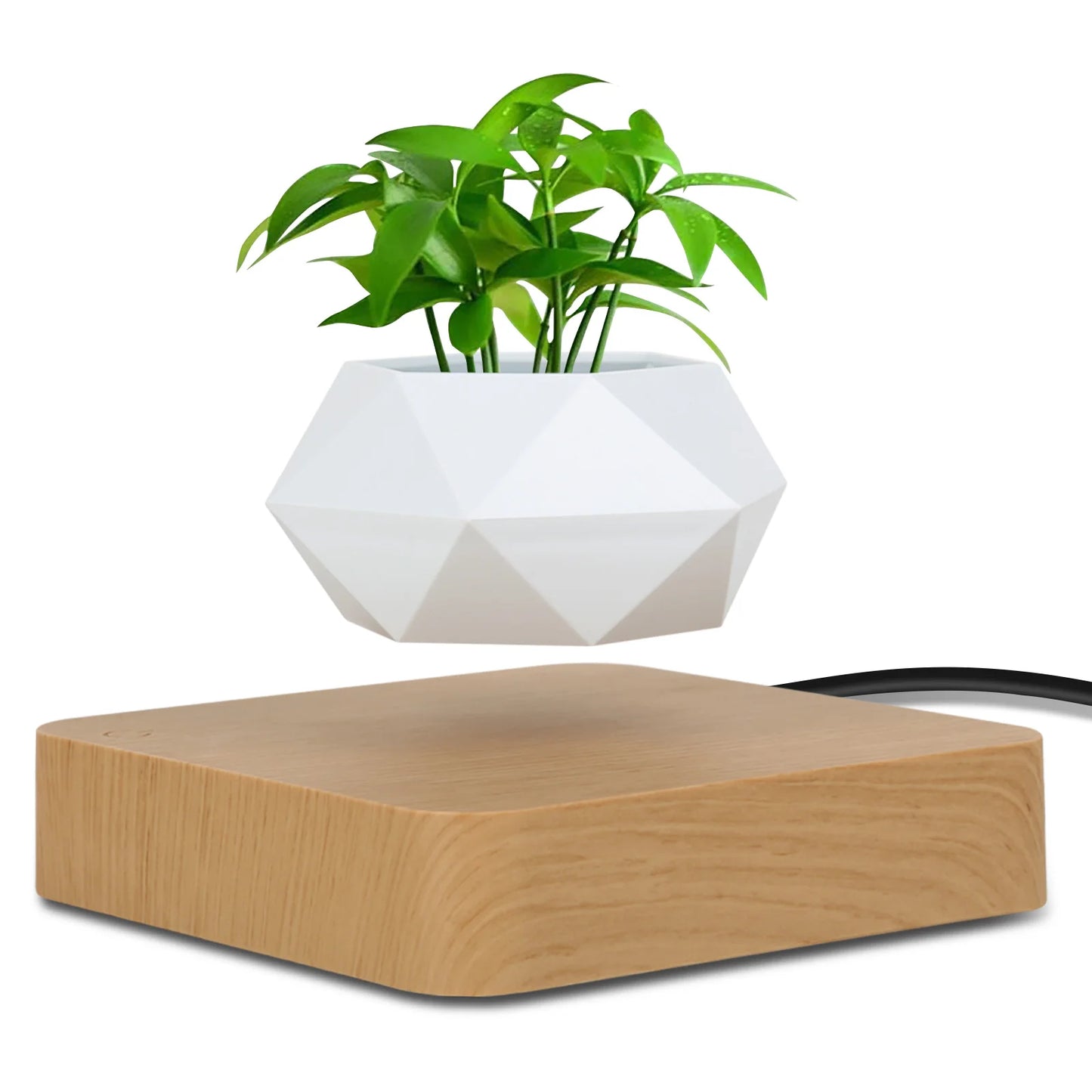 Elevate Your Space with the Magnetic Suspension Flower Pot - Perfect for Air Bonsai and Succulents!