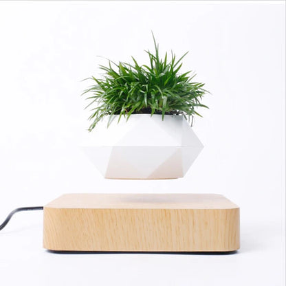 Elevate Your Space with the Magnetic Suspension Flower Pot - Perfect for Air Bonsai and Succulents!