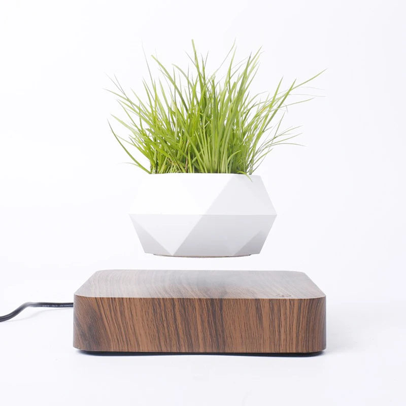 Elevate Your Space with the Magnetic Suspension Flower Pot - Perfect for Air Bonsai and Succulents!