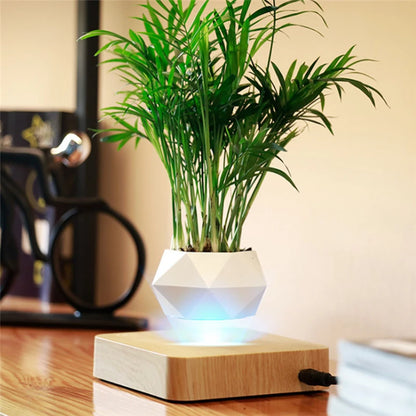 Elevate Your Space with the Magnetic Suspension Flower Pot - Perfect for Air Bonsai and Succulents!