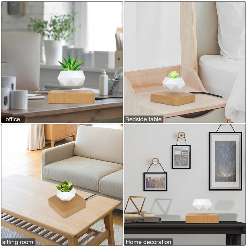 Elevate Your Space with the Magnetic Suspension Flower Pot - Perfect for Air Bonsai and Succulents!