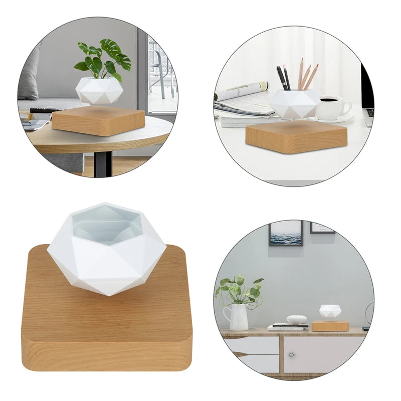 Elevate Your Space with the Magnetic Suspension Flower Pot - Perfect for Air Bonsai and Succulents!